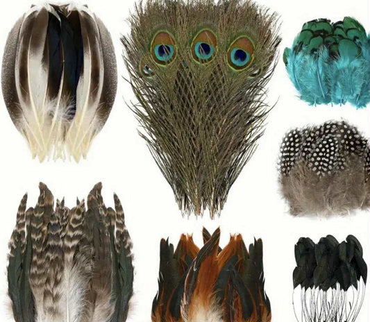 Premium Feather